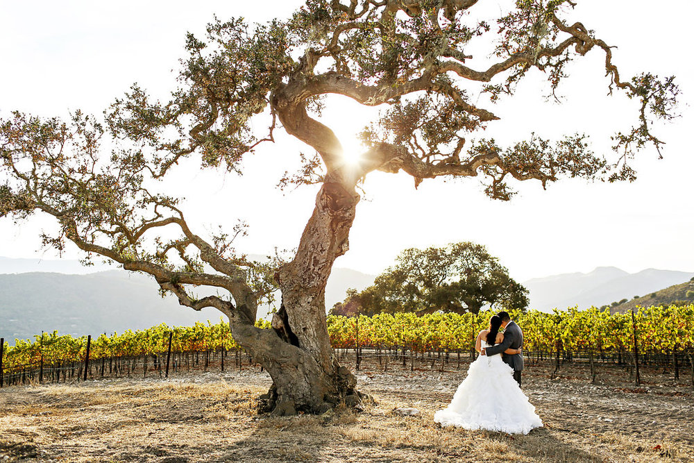 Photo by Marielle Hayes Photography